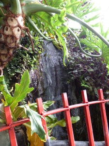 Tiny waterfall behind little red bridge