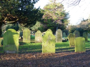 Rows of headstones, weathered, covered in lichen, tilted, sunlit