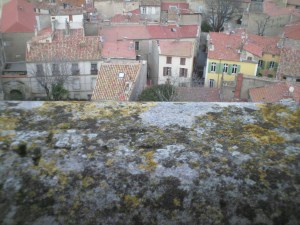 Lower half shows ancient wall with lichen and moss, upper half houses and roofs with motley tiles