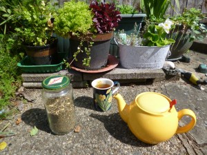 Yellow teapot, full teacup, and jar of tea, in front of lettuce and herbs in little pots.