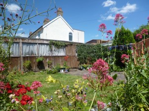 Garden with a few colourful flowers and berries in the foreground.