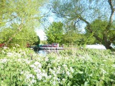 Red houseboats amongst lush trees and blossoming meadows.